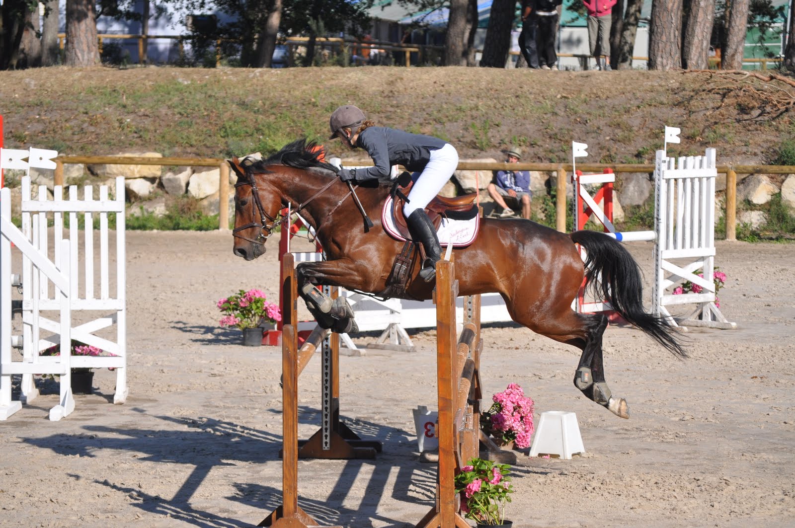 Saut d'obstacles au Centre Les Tancrède